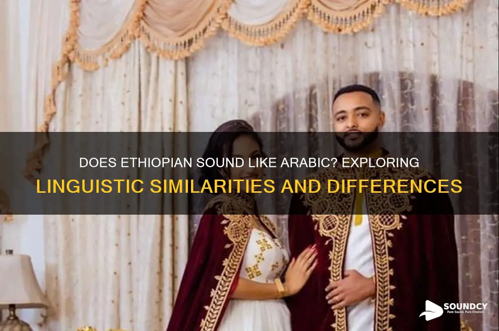 does ethiopian sound like arabic