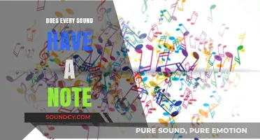 Exploring the Musical Universe: Do All Sounds Have Notes?