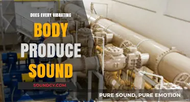 Vibrations and Sound: What's the Connection?