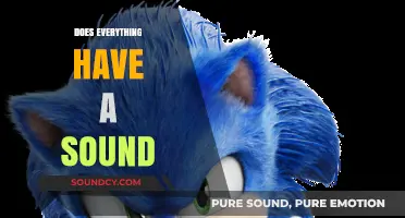 Unveiling the Sonic Universe: Exploring If All Things Have a Sound