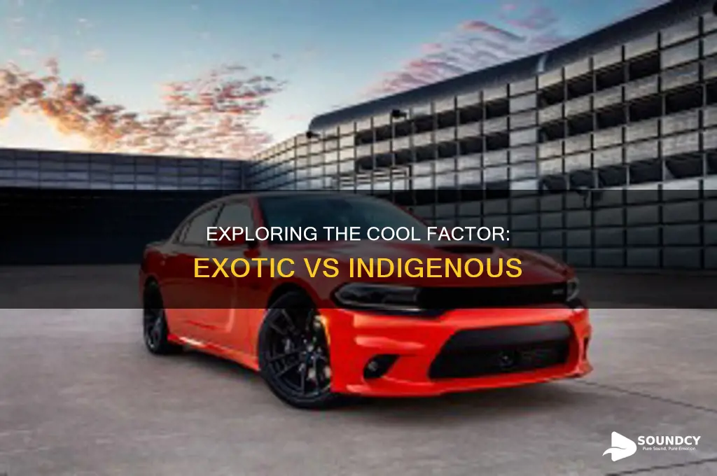 does exotic sound cooler or indigenous