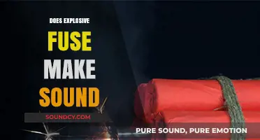 Does Explosive Fuse Make Sound? Unraveling the Myth and Science