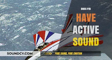 Exploring the F-15's Active Sound Features: Fact or Fiction?