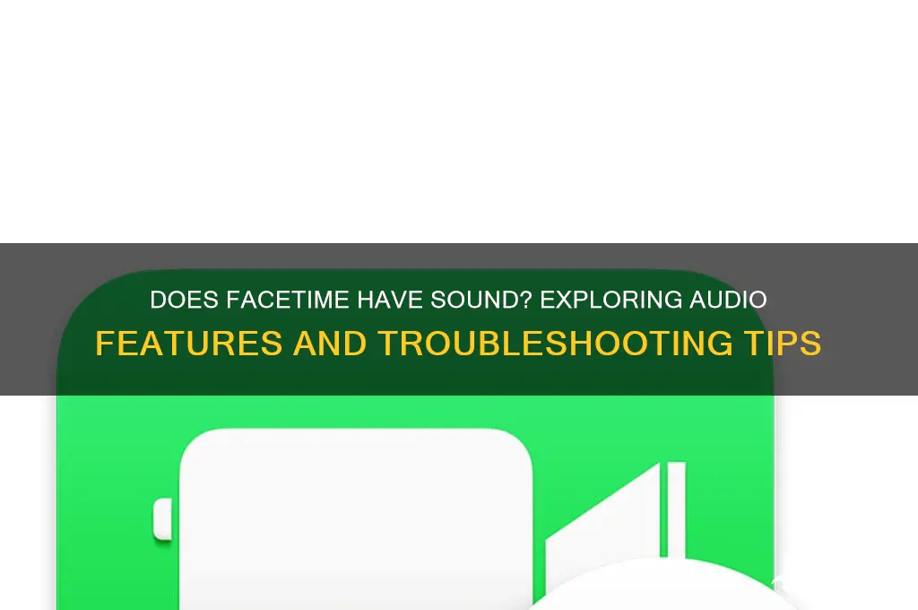 does face time have sound