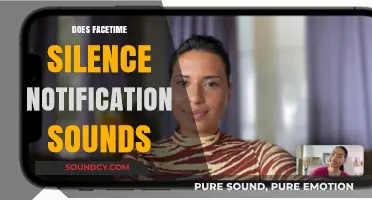 Does FaceTime Silence Notification Sounds? A Comprehensive Guide