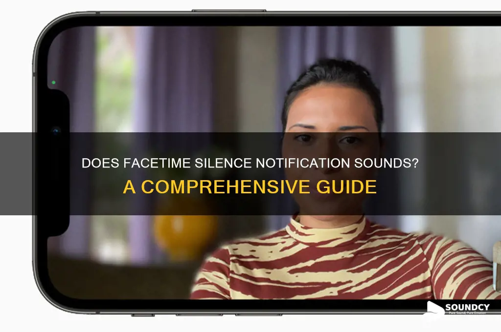 does facetime silence notification sounds