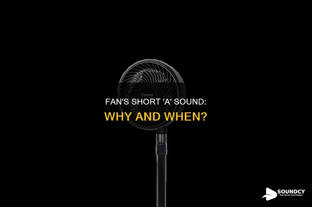 does fan have short a sound