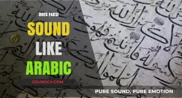 Does Farsi Sound Like Arabic? Exploring Persian and Arabic Language Similarities
