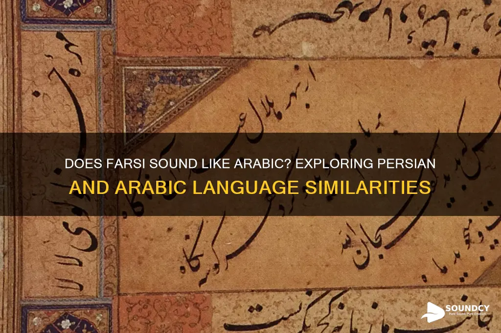 does farsi sound like arabic