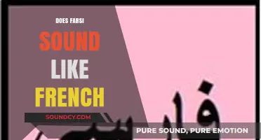 Does Farsi Sound Like French? Exploring Linguistic Similarities and Differences