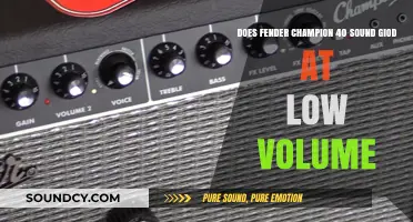 Fender Champion 40: Low-Volume Performance and Sound Quality Review