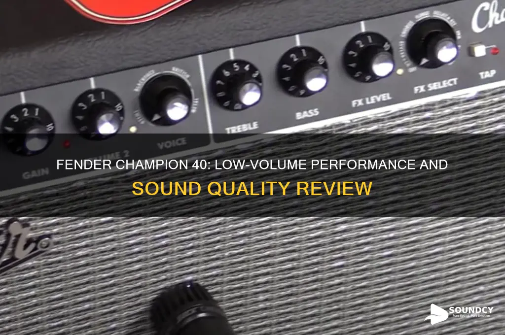 does fender champion 40 sound giod at low volume