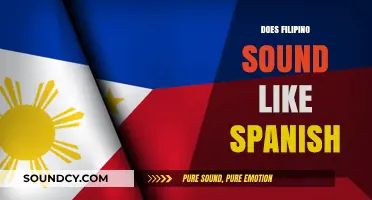 Does Filipino Sound Like Spanish? Exploring Linguistic Similarities and Influences