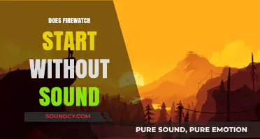 Firewatch Silent Start: Does the Game Begin Without Sound?