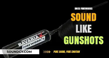 Fireworks vs. Gunshots: Unraveling the Confusing Sounds of the Night
