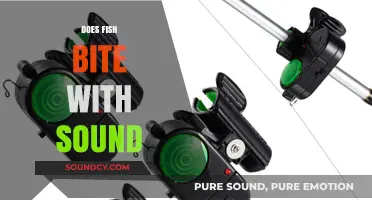 Do Fish Bite to Sound? Exploring the Impact of Noise on Fishing