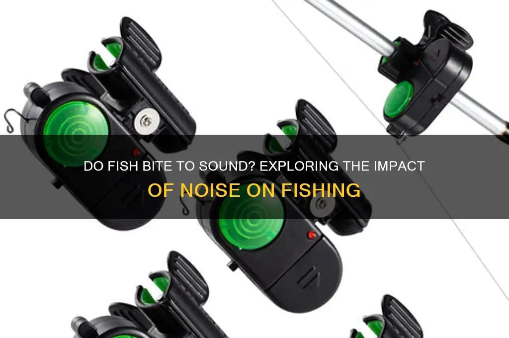 does fish bite with sound
