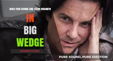 Does Fish's Voice Resemble Steve Hogarth's in Big Wedge?
