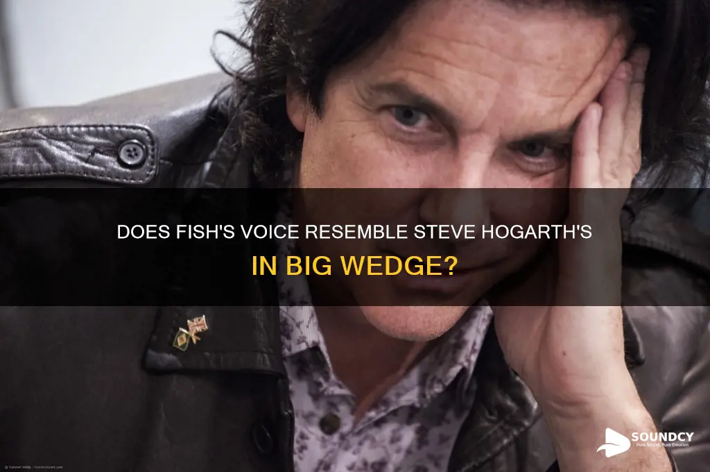 does fish sound like steve hogarth in big wedge