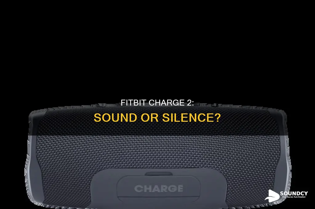 does fitbit charge 2 have sound