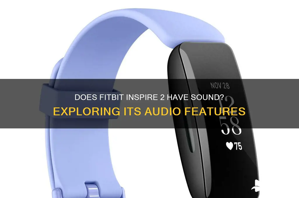 does fitbit lite have sound