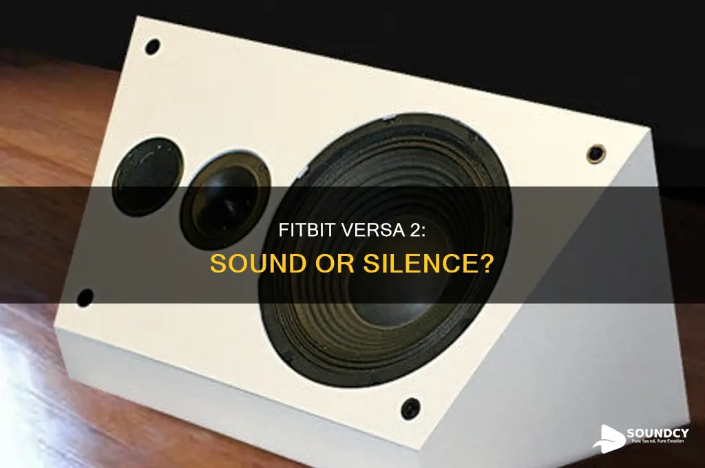 does fitbit versa 2 have sound