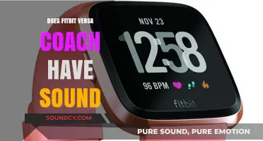 Fitbit Versa: What's the Deal With Sound?