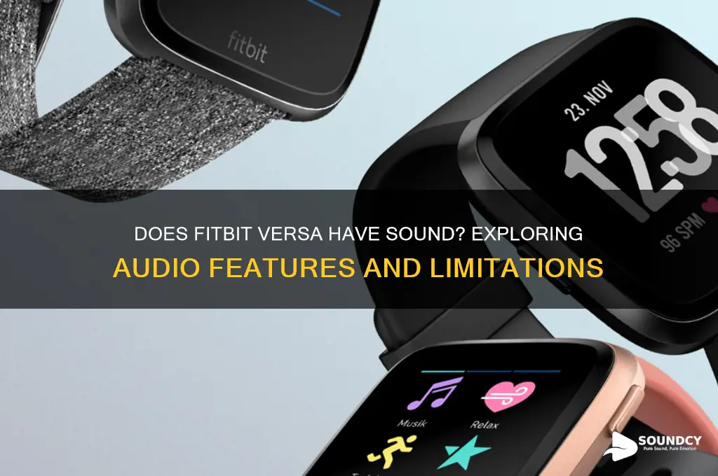 does fitbit versa have sound