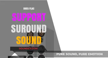 Does FLAC Support Surround Sound? Exploring Audio Formats and Capabilities