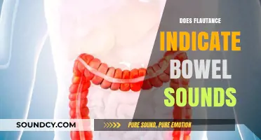 Does Flautance Indicate Bowel Sounds? Understanding Abdominal Assessment Clues