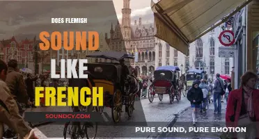 Does Flemish Sound Like French? Exploring Linguistic Similarities and Differences