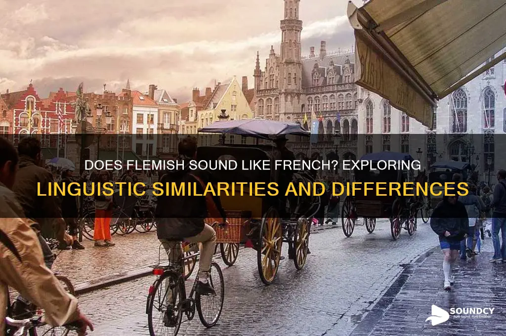 does flemish sound like french