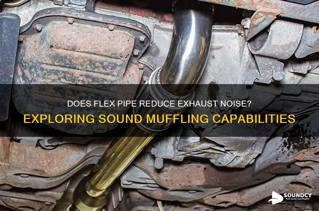 does flex pipe muffle sound