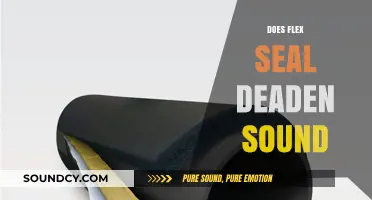 Can Flex Seal Effectively Reduce Noise? Exploring Sound Deadening Properties