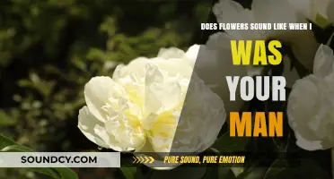 Do Flowers Whisper 'When I Was Your Man'? Exploring Nature's Melodies