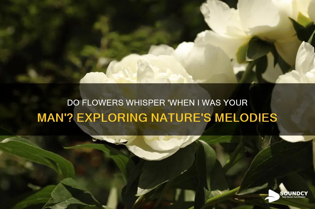 does flowers sound like when i was your man