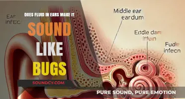 Fluid in Ears: Why It Sounds Like Bugs Crawling Inside