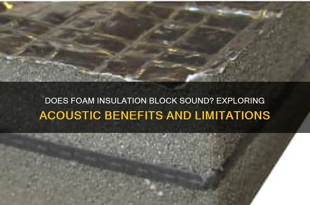 does foam insulation block sound