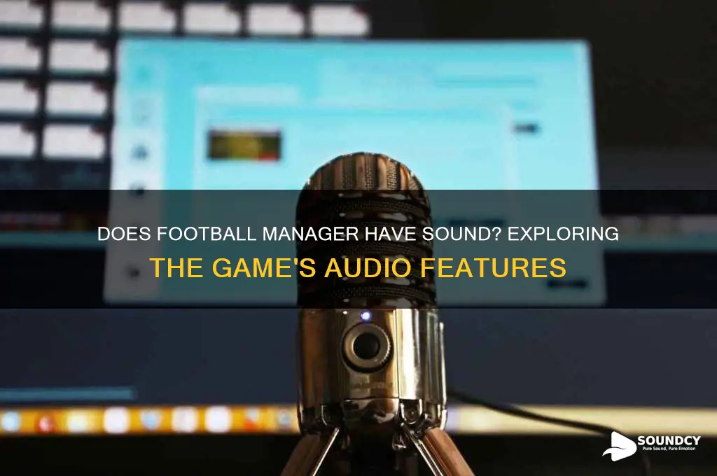 does football manager have sound