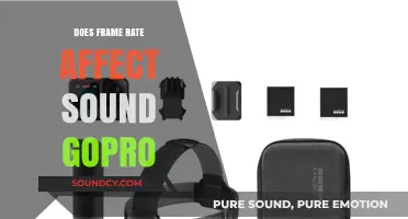 Frame Rate and Sound: GoPro's Secret Sync