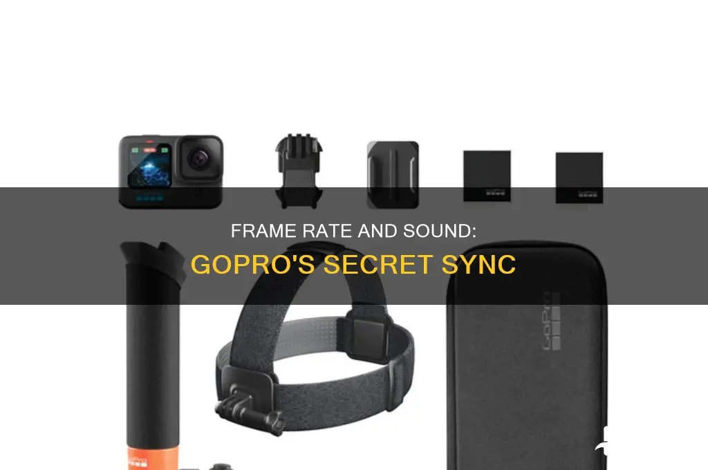 does frame rate affect sound gopro