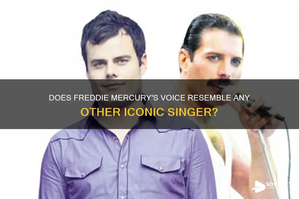 does freddie mercury sound like
