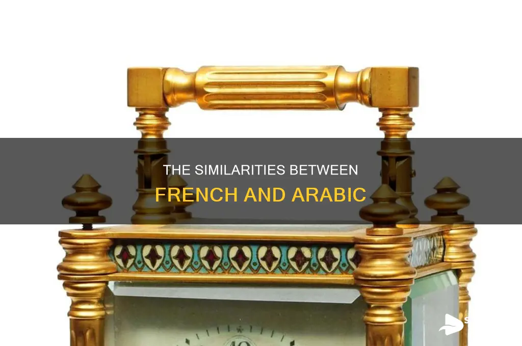 does french and arabi sound similar