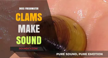 Can Freshwater Clams Produce Sounds? Unveiling the Silent World of Bivalves