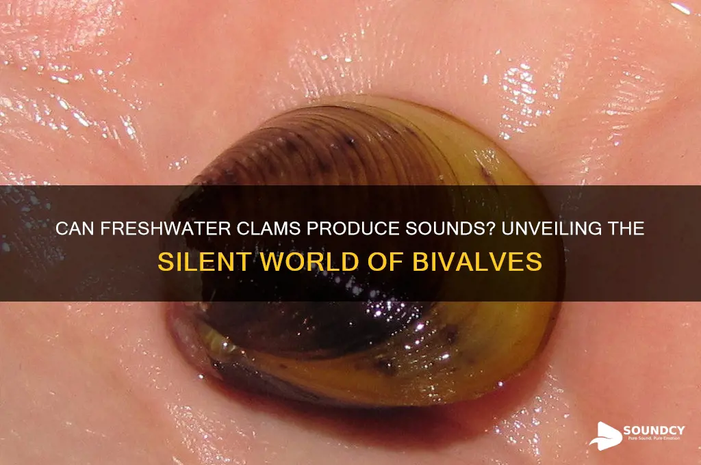 does freshwater clams make sound