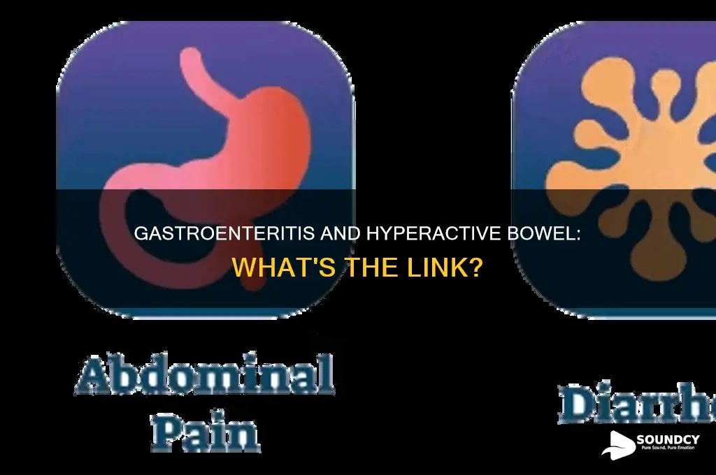 does gastroenteritis cause hyperactive bowel sounds