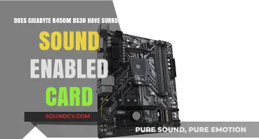 Gigabyte B450M DS3H: Does It Support Surround Sound?