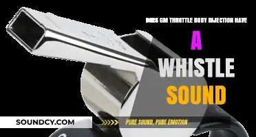 GM Throttle Body Injection: Understanding the Distinct Whistle Sound