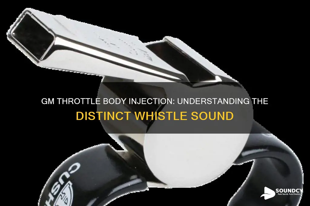 does gm throttle body injection have a whistle sound