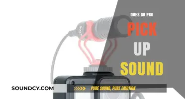 GoPro Audio Recording: How Good Is It?